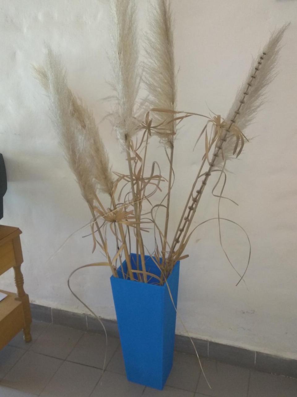Apartament Complejo Viejo Sulky Mina Clavero Zewnętrze zdjęcie